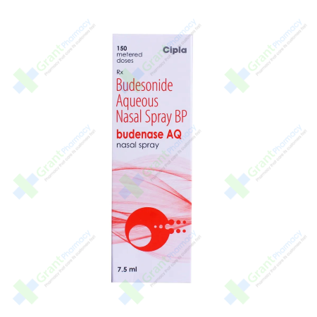 Budesonide Nasal Spray (Budenase )